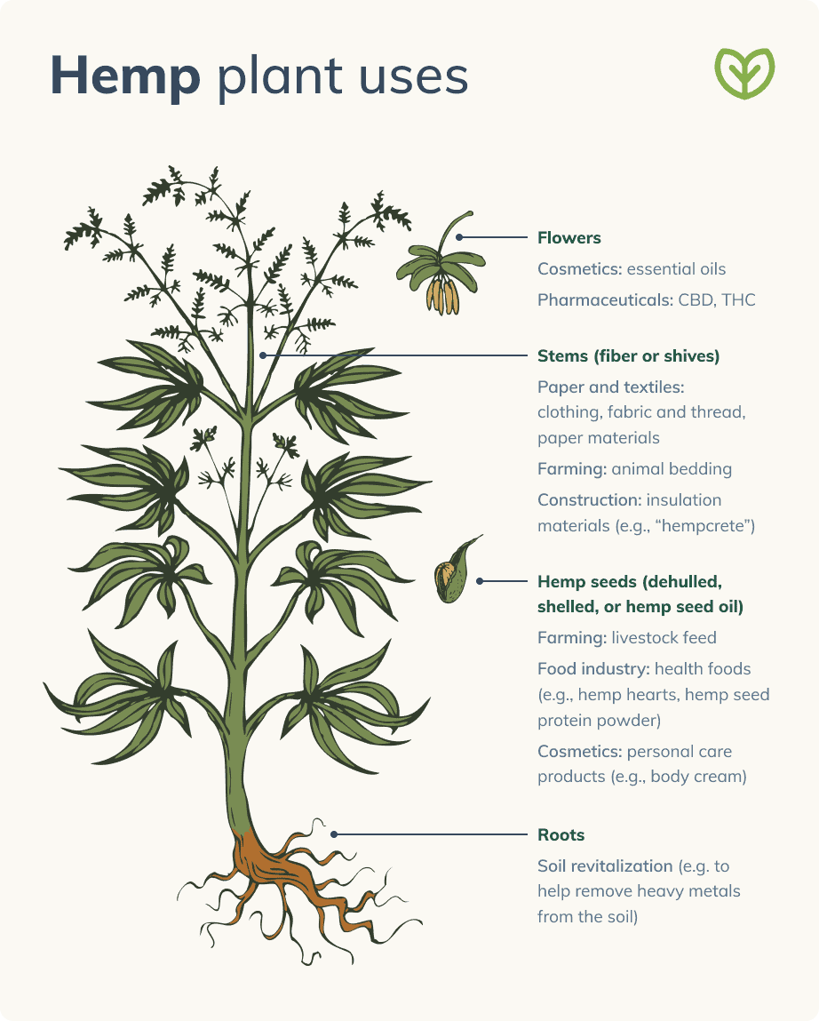 HHMU_Banksia's tweet photo. #How2TakeThePI$$ #ArtisticALLY... 

#FriendSHIPmatters 

#DandeLIONs - #Pi$$#theBeds 
#GetCreative-#Weeds &amp; #FlowerHeads! 

#CannabisCures-#HempHeals 
#GrowYerOwn2StopDodgyDeals 

#IDWP-#IDeclareWorldPeace 

#MitakuyeOyasin 
@mikecoulson48 @DianeLivermore @Irishfiddler03 https://t.co/XTeiGn9daY