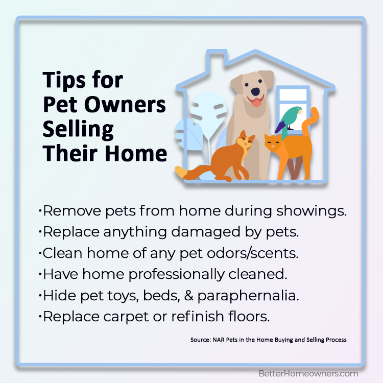 Jan_Pulit's tweet photo. Every paw-spective buyer may not feel the same way you do about pets....Learn more at https://t.co/RvL0SLe7e2 #So.YarmouthHomes #So.YarmouthRealEstate https://t.co/DkM0WfHQL2