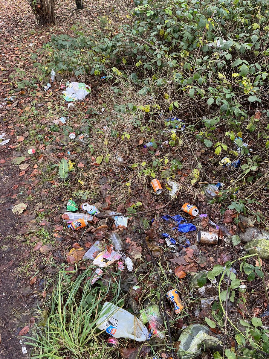 1P2 really enjoyed exploring local wild spaces. Especially the wildlife corridor that links Cathkin Braes to Castlemilk park. Some  of us glimpsed a deer! Plenty  of conservation issues to deal with to help improve this space too! <a href="/JohnMuirTrust/">John Muir Trust</a>