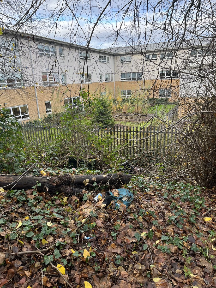 StmmssWA's tweet photo. 1P2 really enjoyed exploring local wild spaces. Especially the wildlife corridor that links Cathkin Braes to Castlemilk park. Some  of us glimpsed a deer! Plenty  of conservation issues to deal with to help improve this space too! @JohnMuirTrust https://t.co/H5KRJe7sKB