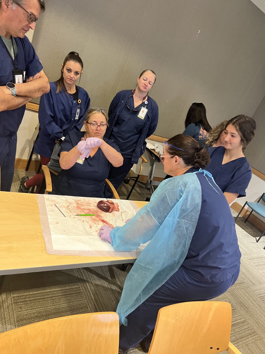 MUSChealth's tweet photo. The electrophysiology (EP) team recently completed a heart dissection class for all EP care team members and fellows. The EP lab's commitment to education and professional growth upholds the values of MUSC, allowing us to provide better patient care! #HeartDissection https://t.co/lufwB6jiNp