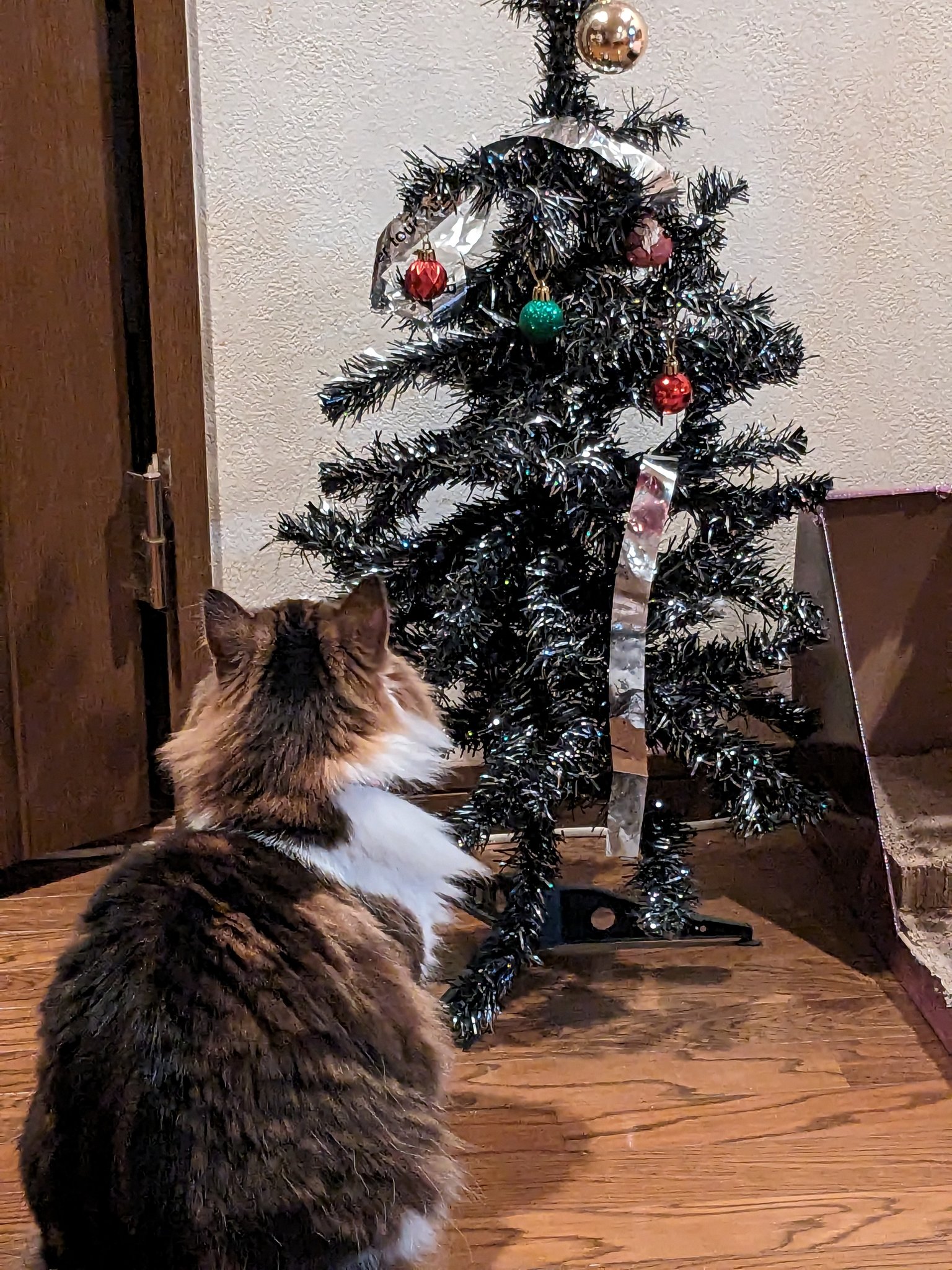 【ネコ】クリスマスツリー 楽天市場】クリスマスツリー（猫用品｜ペット・ペットグッズ）の通販