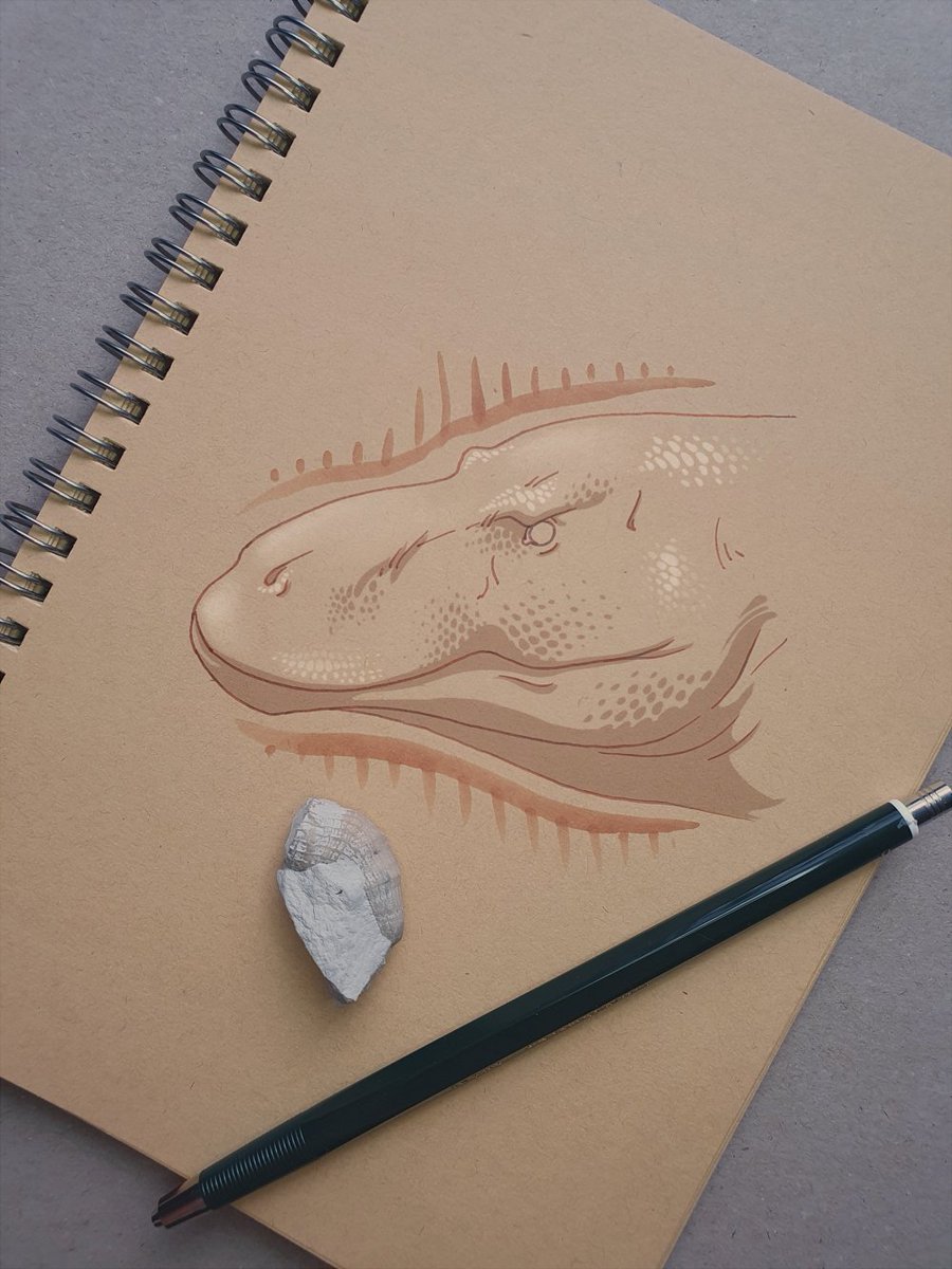 ConfusedHadro's tweet photo. #Archovember Day 20: Prestosuchus chiniquensis

#paleoart #palaeoart #dinosaur #art #dinovember #Prestosuchus #Prestosuchuschiniquensis #Pseudosuchia https://t.co/vTFu3BT1rb