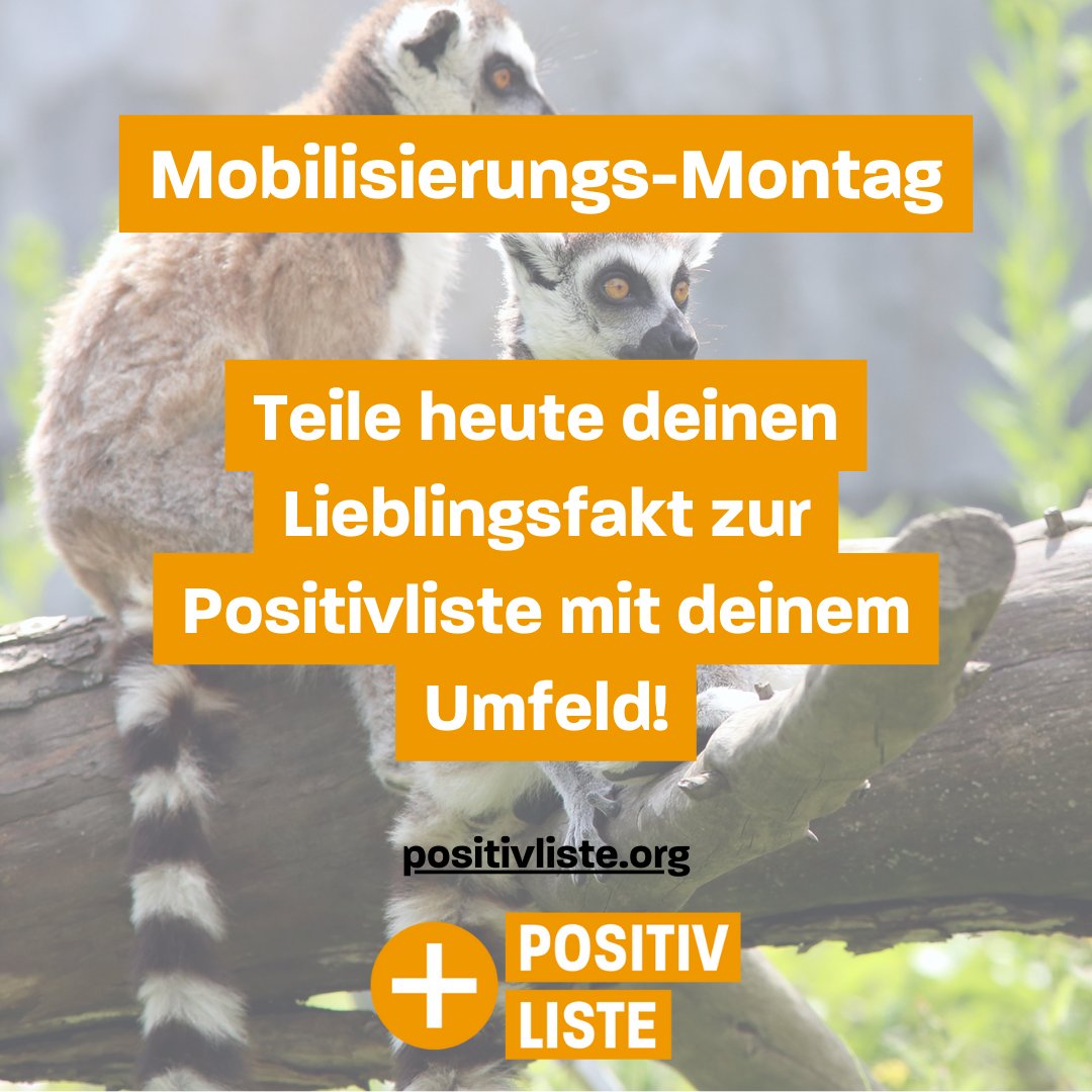 👩‍🏫 Gut aufgepasst? Dann teile am heutigen Mobilisierungs-Montag deinen Lieblingsfakt zur #Positivliste mit deinen Freund:innen! #werdewyld