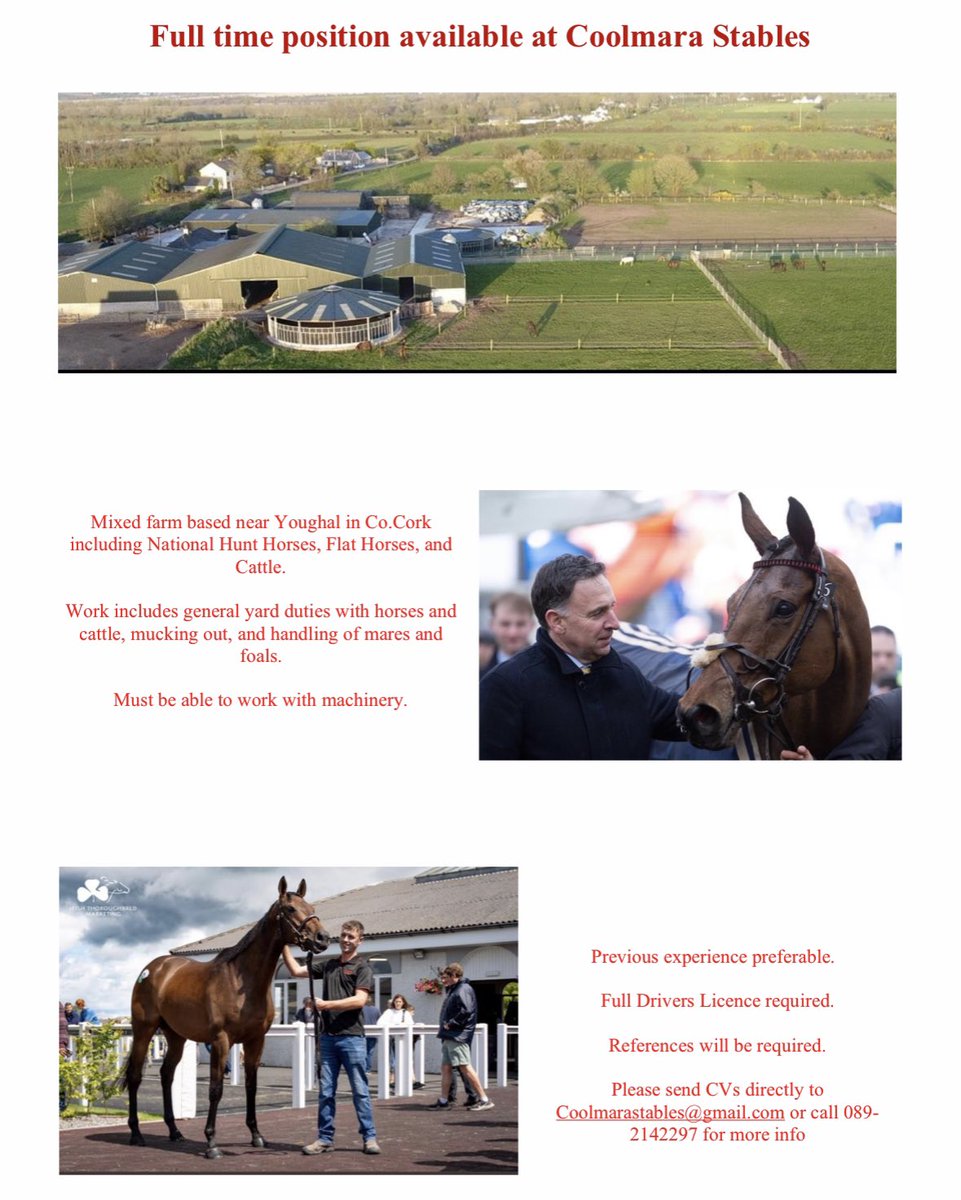 Coolmara Stables tweet media