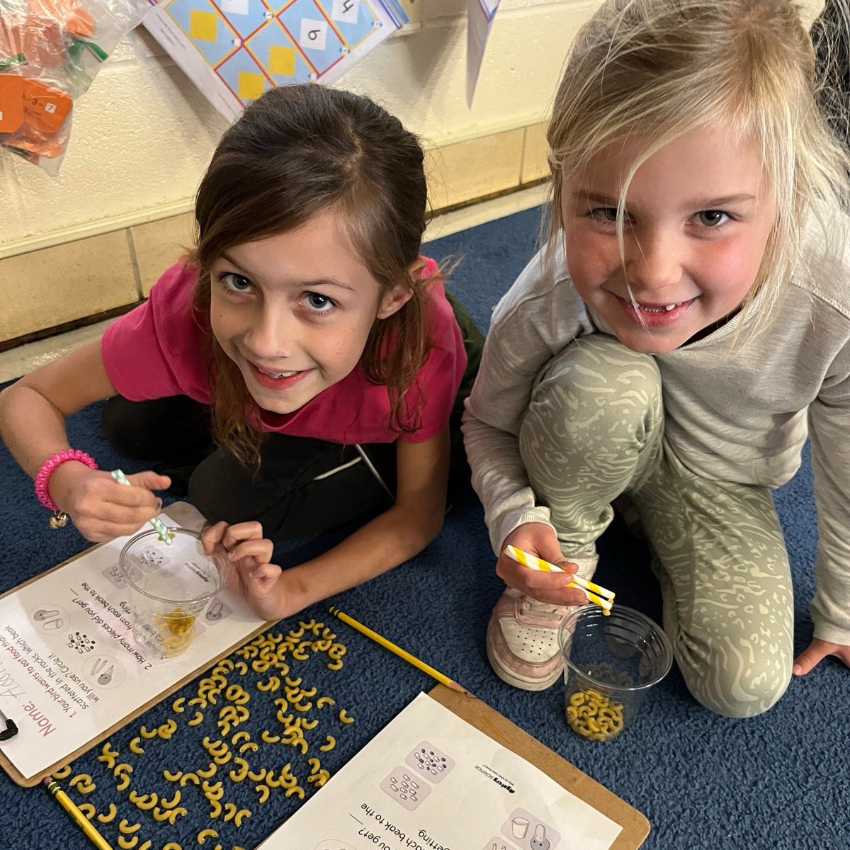 Wheaton_803's tweet photo. What's new for #LifeAtThe803 in 1st grade?

Mrs. Lanter’s 1st grade has been learning about useful animal traits. They used straws and cups to mimic types of bird beaks and how each beak can help birds eat!!🦜 https://t.co/oGyNBmCvCu