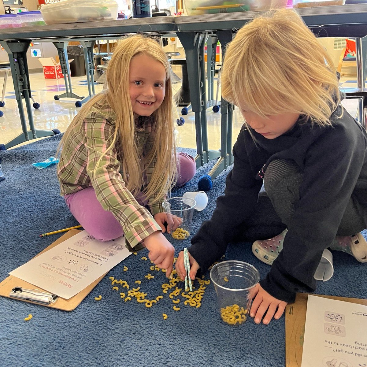 Wheaton_803's tweet photo. What's new for #LifeAtThe803 in 1st grade?

Mrs. Lanter’s 1st grade has been learning about useful animal traits. They used straws and cups to mimic types of bird beaks and how each beak can help birds eat!!🦜 https://t.co/oGyNBmCvCu