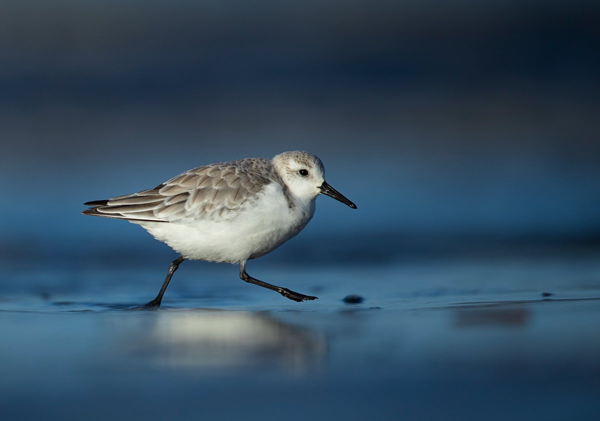 Ben Andrew tweet media