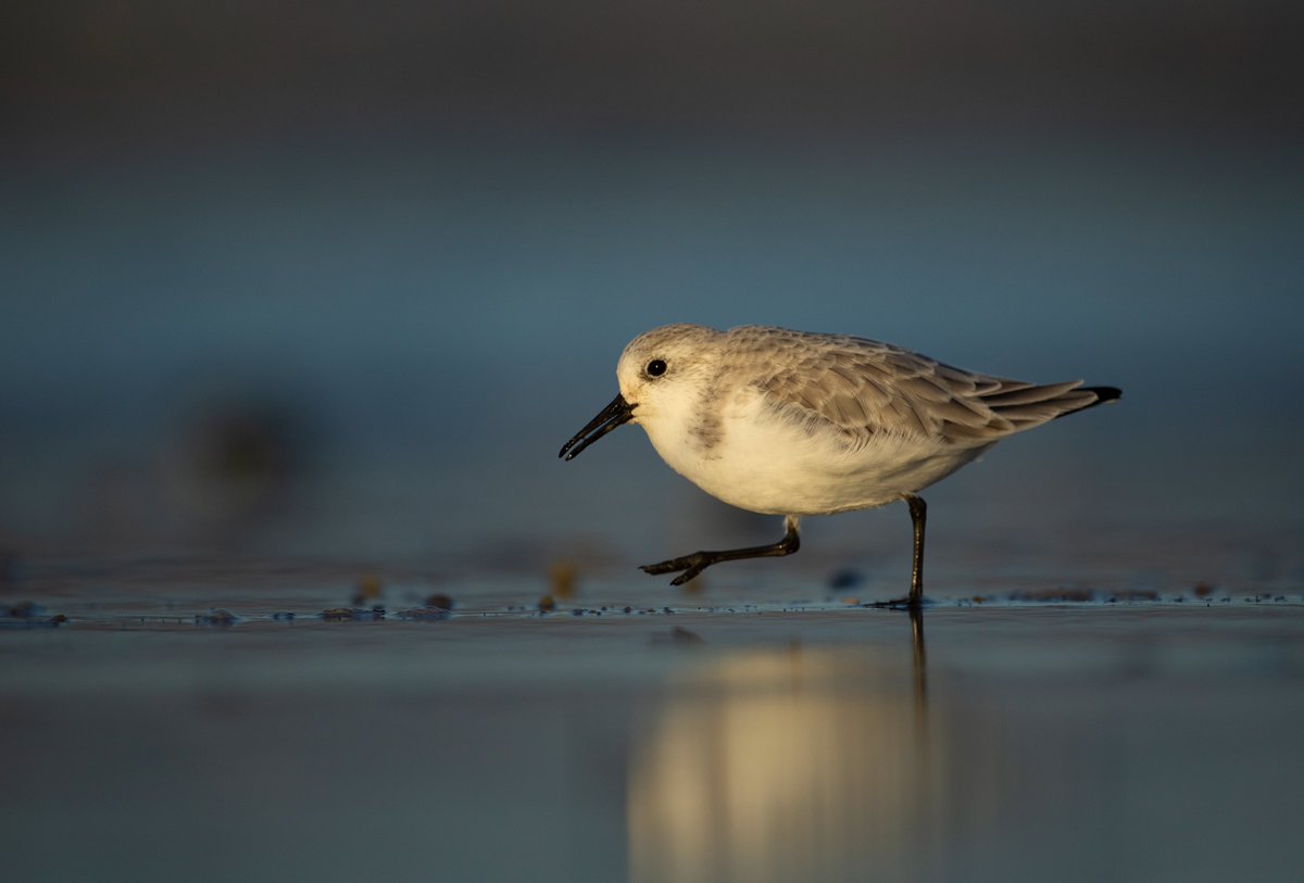 Ben Andrew tweet media