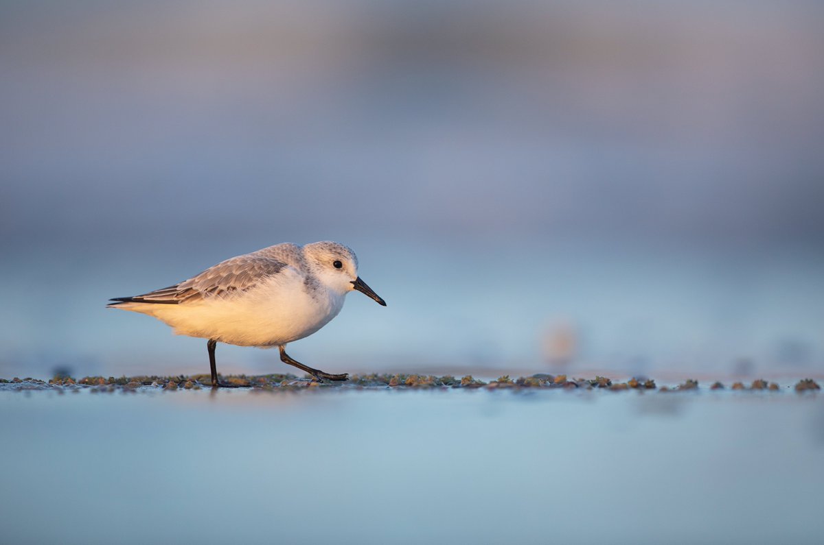 Ben Andrew tweet media