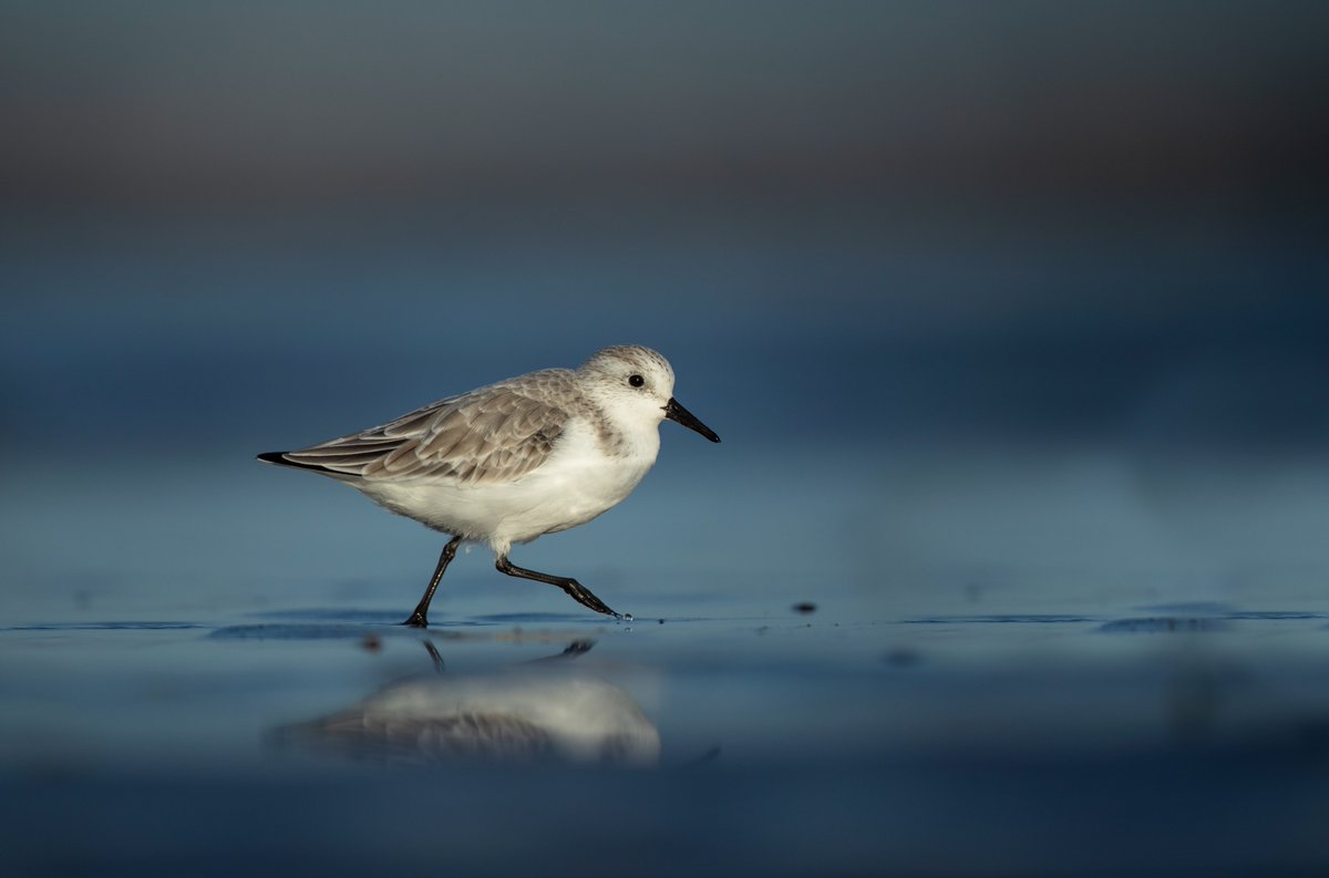 Ben Andrew tweet media