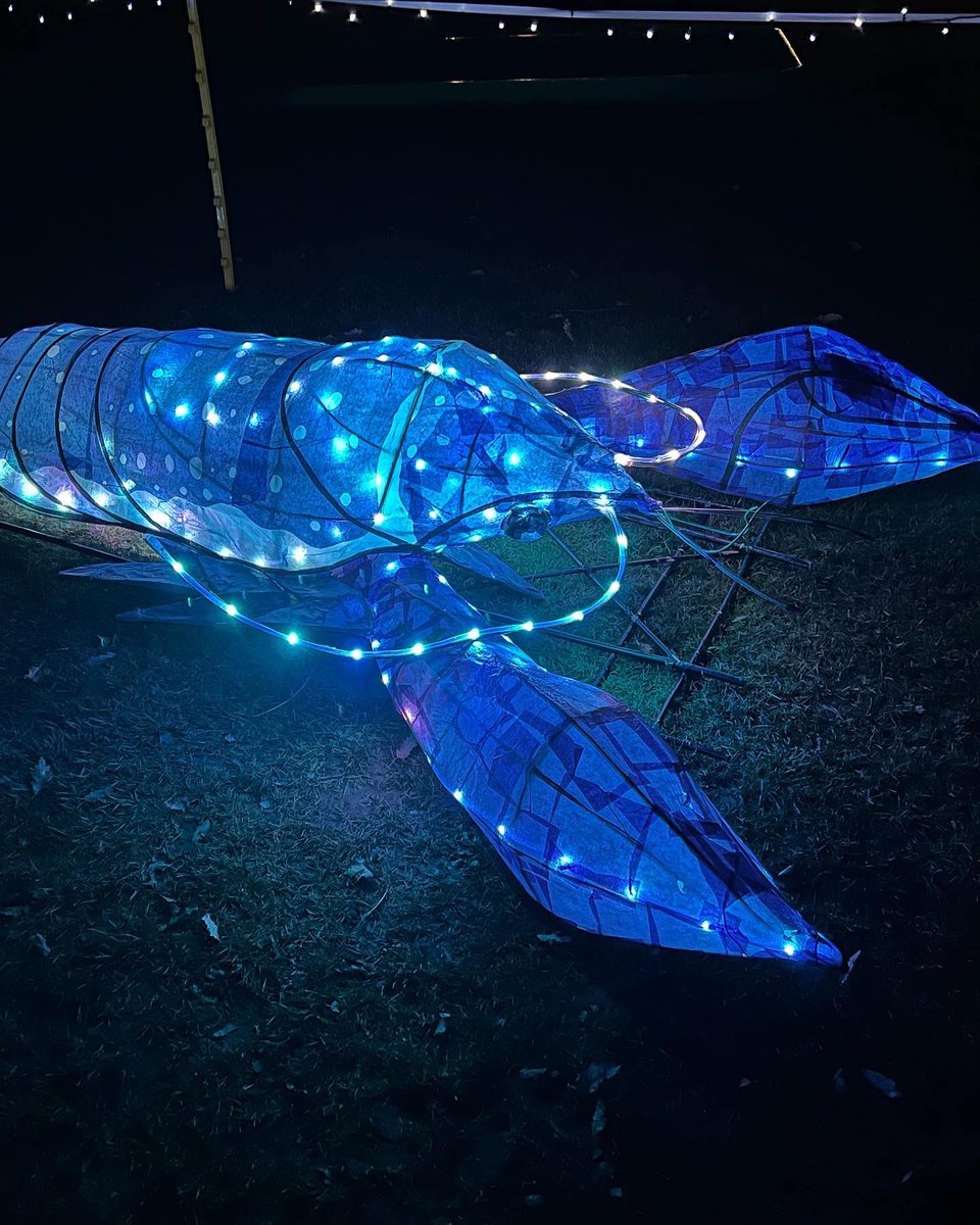 Animated Objects (@animatedobjects) on Twitter photo Visit our website or socials <a href="/animatedobjects/">Animated Objects</a> for more details and a map of where to watch the #Scarborough lantern parade on Friday 24th Nov @ 5.30pm - see you there! <a href="/ThisCoast/">This is the Coast - Local Radio for the Coast</a> <a href="/coastcounty/">Coast & County Radio</a> <a href="/BBCYork/">BBC York</a> <a href="/BBCLookNorth/">BBC Yorkshire</a> <a href="/DiscoverCoast/">Discover Yorkshire Coast</a> <a href="/TheScarboroNews/">The Scarborough News</a> <a href="/ScarboroughOAT/">Open Air Theatre</a> <a href="/northyorksc/">North Yorkshire Council</a> Visit our website or socials <a href="/animatedobjects/">Animated Objects</a> for more details and a map of where to watch the #Scarborough lantern parade on Friday 24th Nov @ 5.30pm - see you there! <a href="/ThisCoast/">This is the Coast - Local Radio for the Coast</a> <a href="/coastcounty/">Coast & County Radio</a> <a href="/BBCYork/">BBC York</a> <a href="/BBCLookNorth/">BBC Yorkshire</a> <a href="/DiscoverCoast/">Discover Yorkshire Coast</a> <a href="/TheScarboroNews/">The Scarborough News</a> <a href="/ScarboroughOAT/">Open Air Theatre</a> <a href="/northyorksc/">North Yorkshire Council</a>