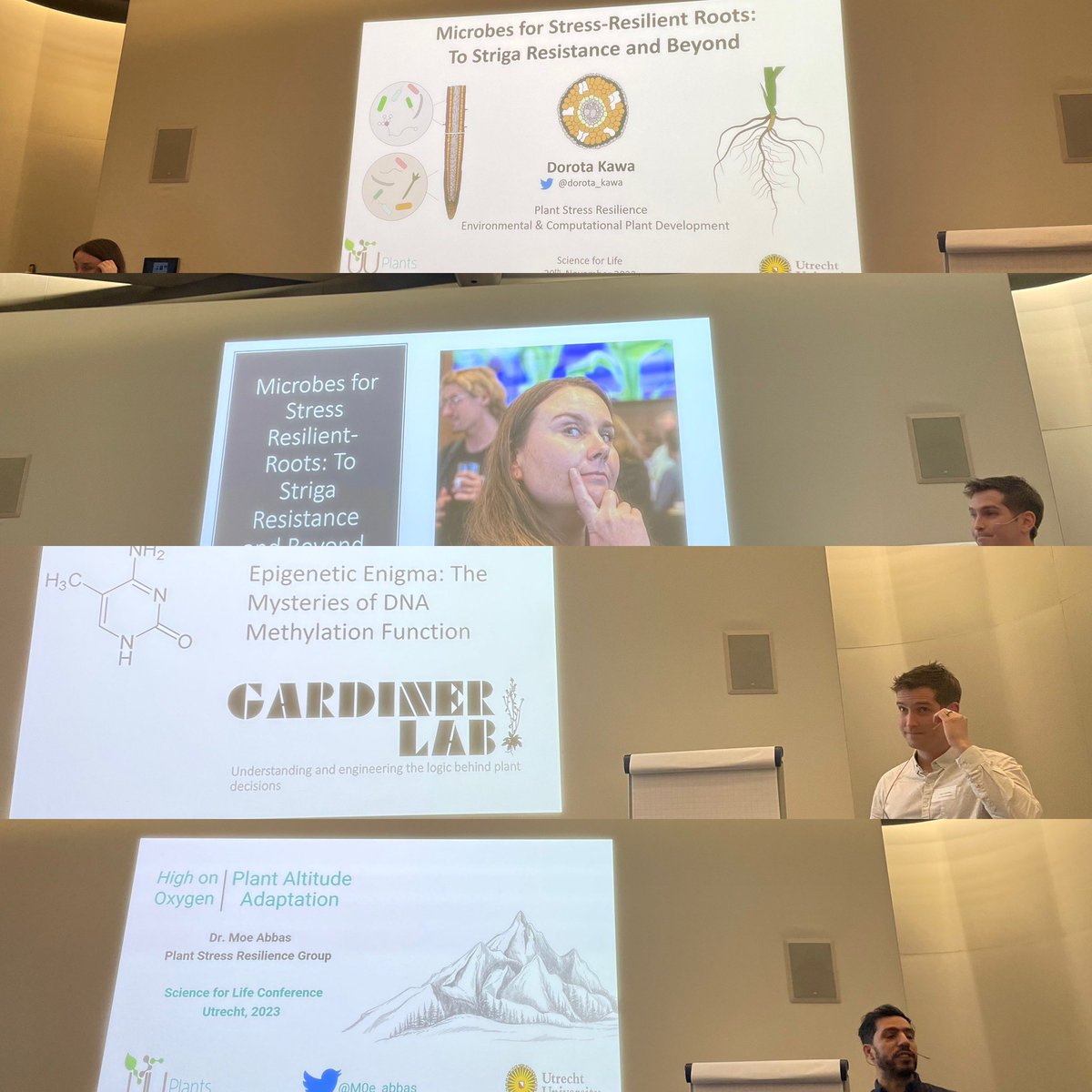 UU_Plants's tweet photo. Fantastic talks from our new PIs at the Science 4Life conference @UUBeta @dorota_kawa @M0e_abbas @gardiner_lab chaired brilliantly by @kaisakajala https://t.co/gxm25I4p1y