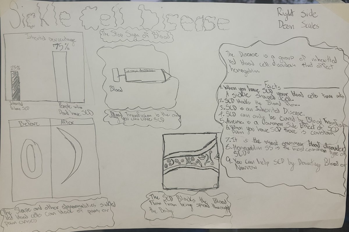 msms_bulldogs's tweet photo. 7th-grade students in Mrs. Griffith's Science class created infographics about genetic disorders.
Because #msmsistheplacetobe #talentedstudents #talentedteacher #artsineducation https://t.co/OgNVcVWUEk