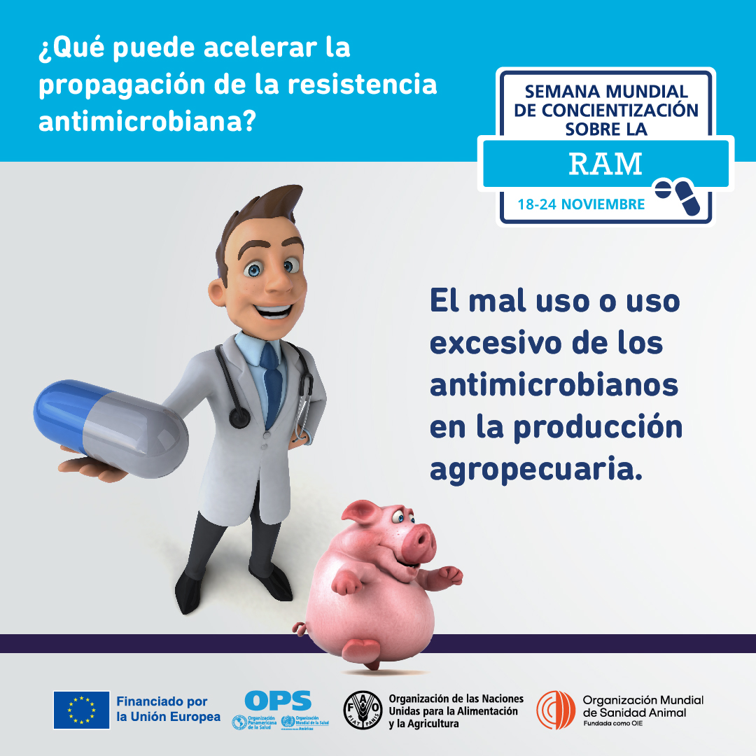 Infectologia critica tweet media