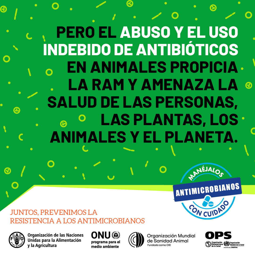 Infectologia critica tweet media