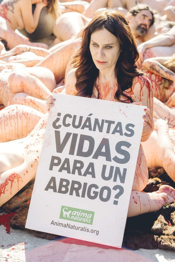 Hazlo viral ¿Cuántas vidas para un abrigo ? #FurFreeEurope ¡ NO a las granjas peleteras en toda la UE! Acción en Barcelona Domingo 3 de diciembre En la Plaza Cataluña 10:45 REGÍSTRATE YA en SinPiel.org