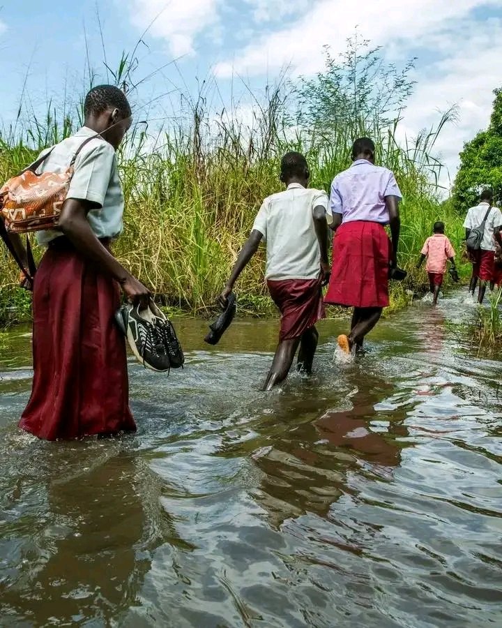 Yes South Sudan is not for the weak, it is the for the resilient 🙏🏿

Candidates in Maridi seen crossing a river this morning to go for their national examination. ✍️
