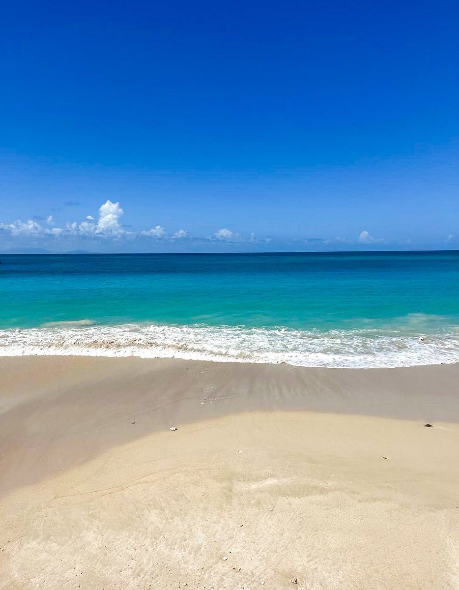 Shell-ebrate the beauty of beach days 🏝️😄

#keyonnabeachresortantigua

keyonnabeachresortantigua.com