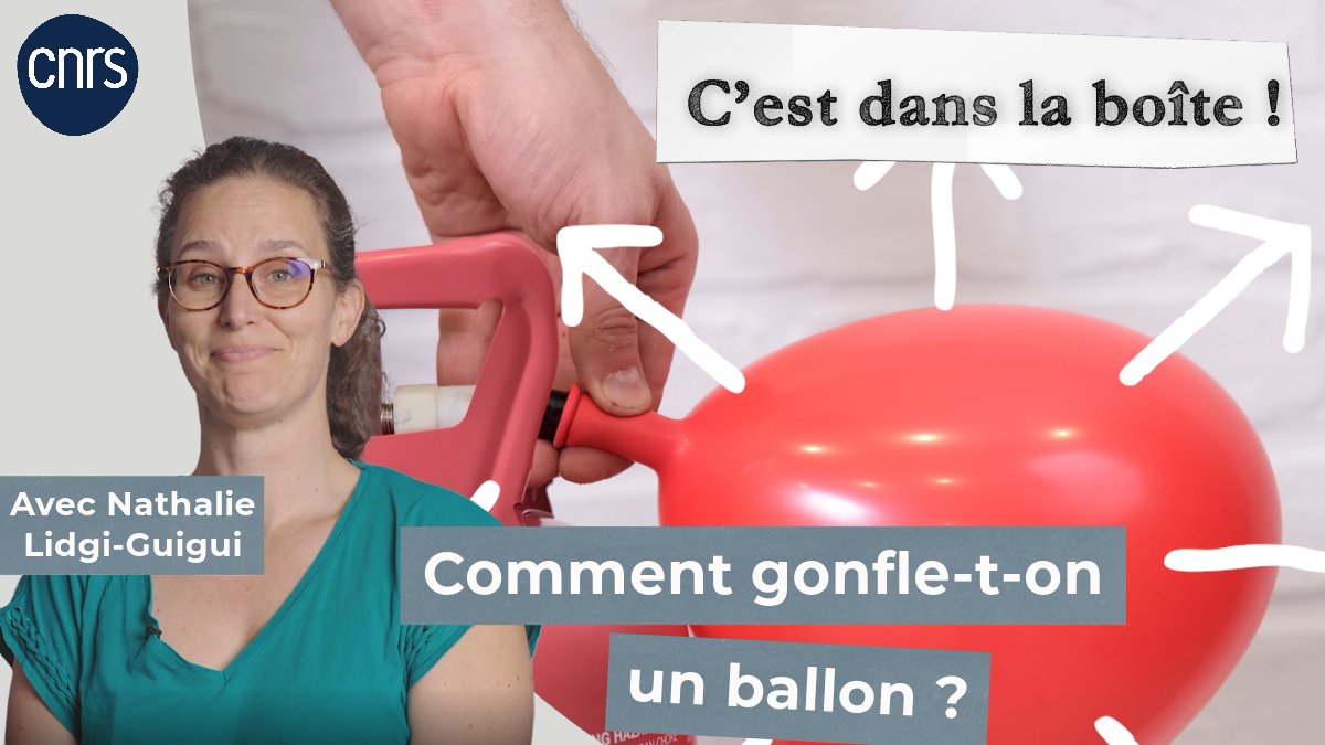 🎥 C'est dans la boîte ! - EP2
📫 Nos scientifiques répondent aux questions des publics de l'<a href="/Exploradome/">Exploradôme</a> autour du thème "Sport &amp; Science"
⚽️💨 Cette semaine, @nlidgi du @LSPM_CNRS explore les principes physiques liés au gonflement des ballons de foot !
▶️youtu.be/U6tIVnuJSyQ