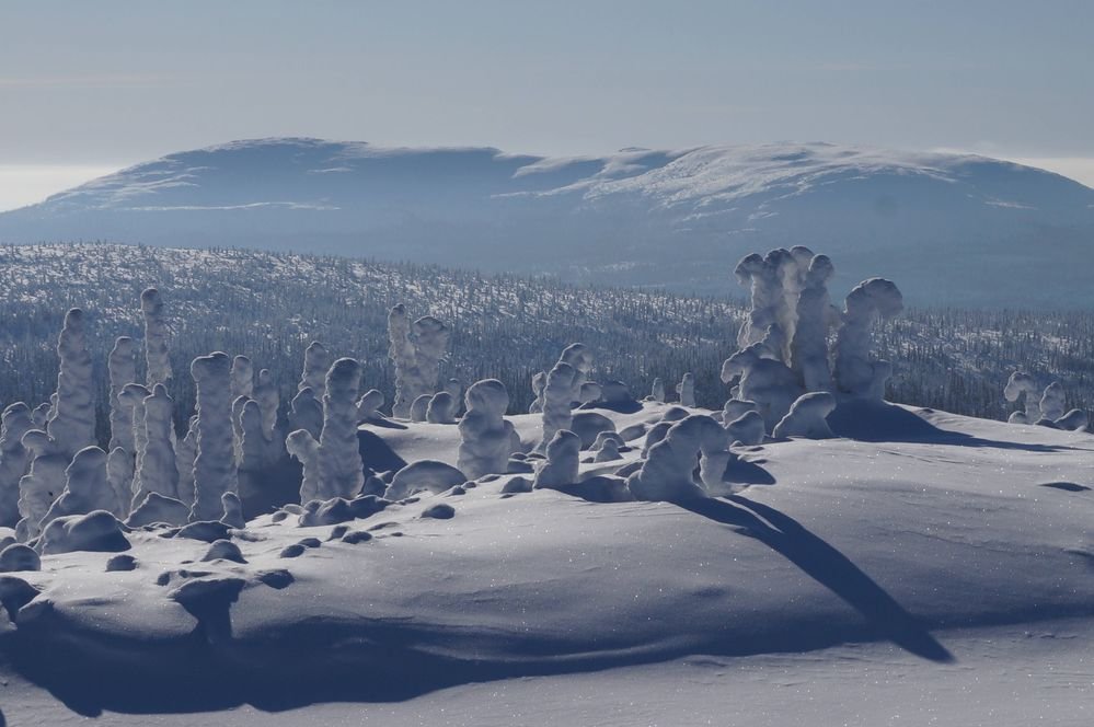 1tapaus's tweet photo. Embarking on the journey from a warm Middle-Eastern country to the unforgiving Finnish-Russian border? Brace yourself for a painful death☠️
The biting cold of this region is not to be underestimated. Choose your path wisely and prioritize safety🥶#ColdReality https://t.co/WU0ncrXcir