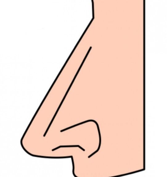 Ceux qui ont aligné Aldama je vous comme ça