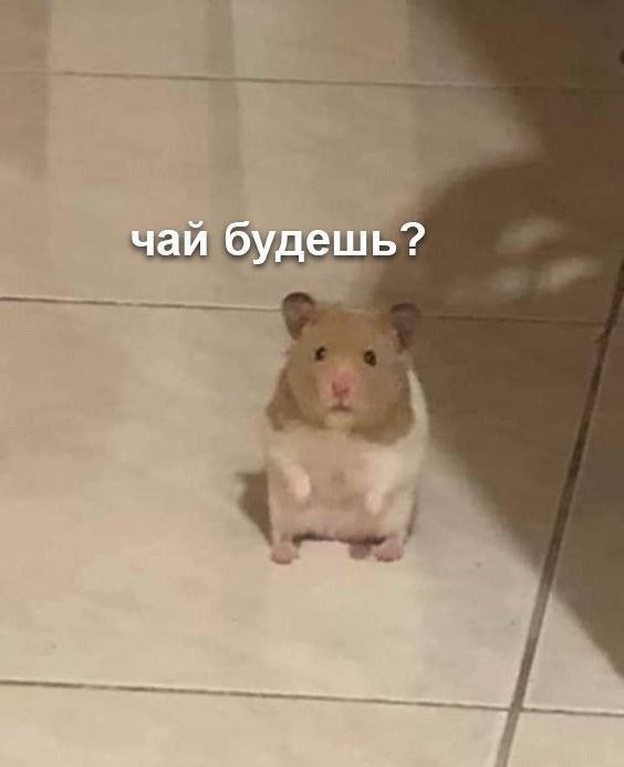Это я, пытаюсь оказывать близким людям эмоциональную поддержку: