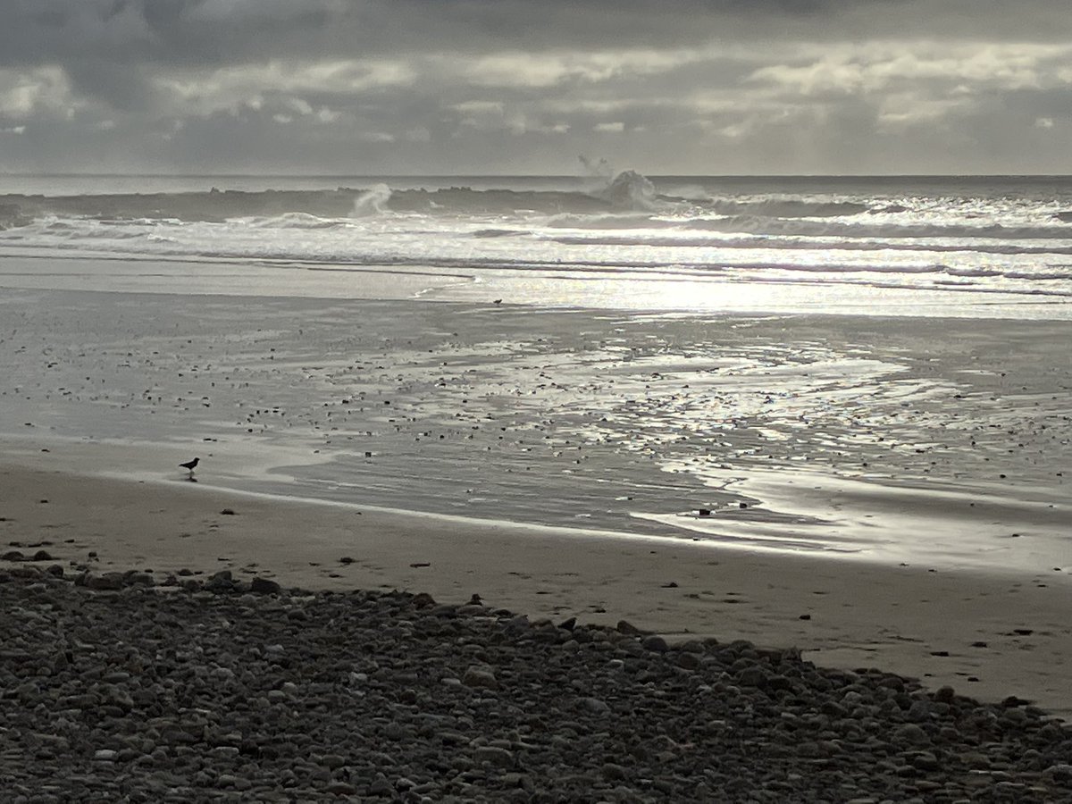 Katie Benallick tweet media