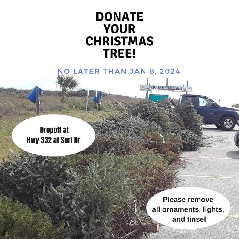 Are you considering a real Christmas tree this year? If so, after the holidays, you can contribute to rebuilding the dunes at @SurfsideTx by dropping off your natural tree. They can't accept flocked trees, so if you'd like to donate, opt for a natural one.