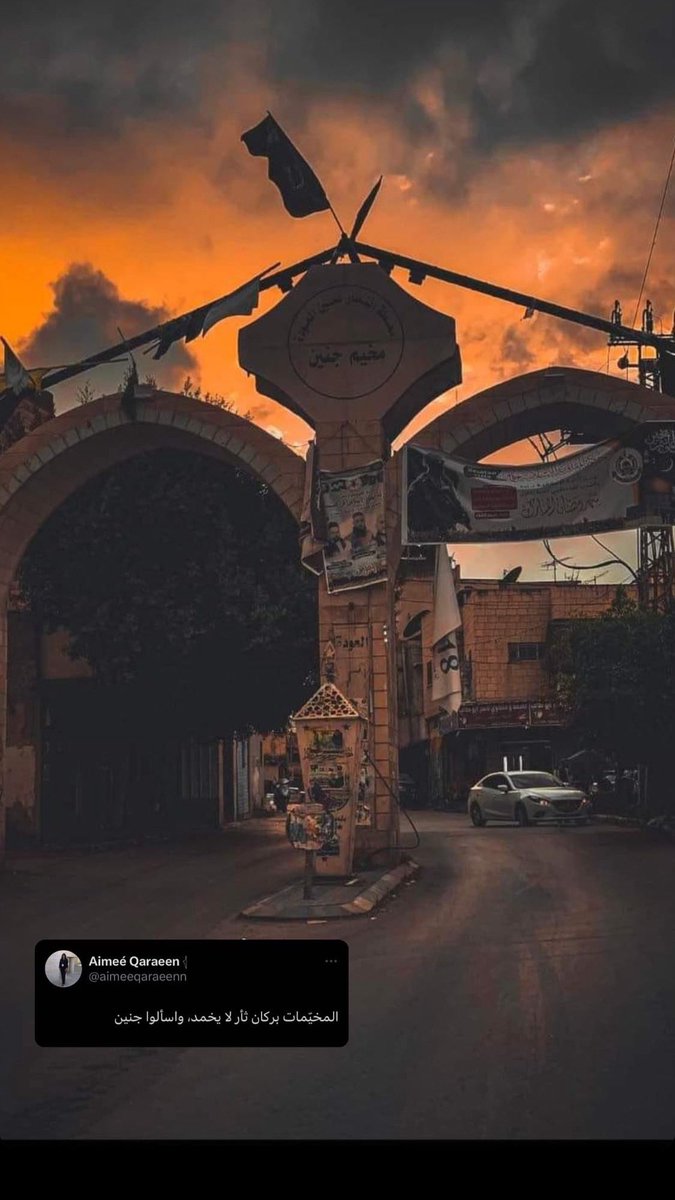 بِسم المُخيمِ لَم أمُت واسئل جِنين ♥️🇵🇸