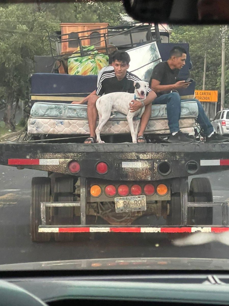 de_salvadorenos's tweet photo. Mi admiración y respeto a quienes no se justifican o abandonan aun peludo.

Gracias a esa familia por llevarlo con ellos , hacia donde seria su nuevo hogar.

Gente así, necesita el mundo. 💯❤️💯❤️ https://t.co/ySGB3gw8qd