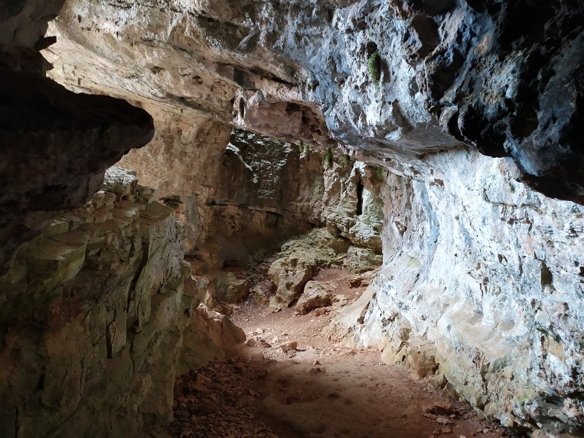 MuntanyaV's tweet photo. Les Coves del Forcall, a Vilafranca.
Podem contemplar esta curiosa formació a la natura en un breu i senzill passeig que comença en el poble mateix. https://t.co/TOMY1GFov8