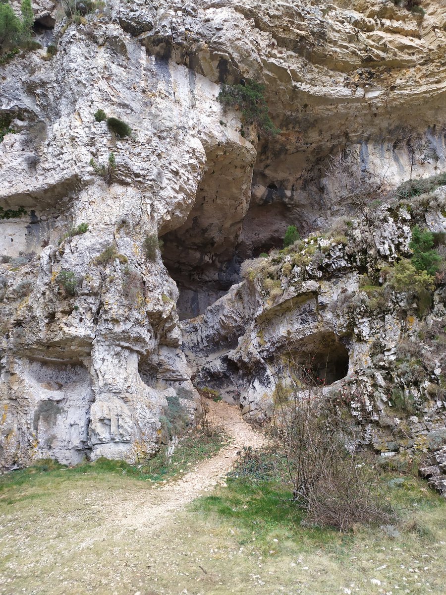 MuntanyaV's tweet photo. Les Coves del Forcall, a Vilafranca.
Podem contemplar esta curiosa formació a la natura en un breu i senzill passeig que comença en el poble mateix. https://t.co/TOMY1GFov8
