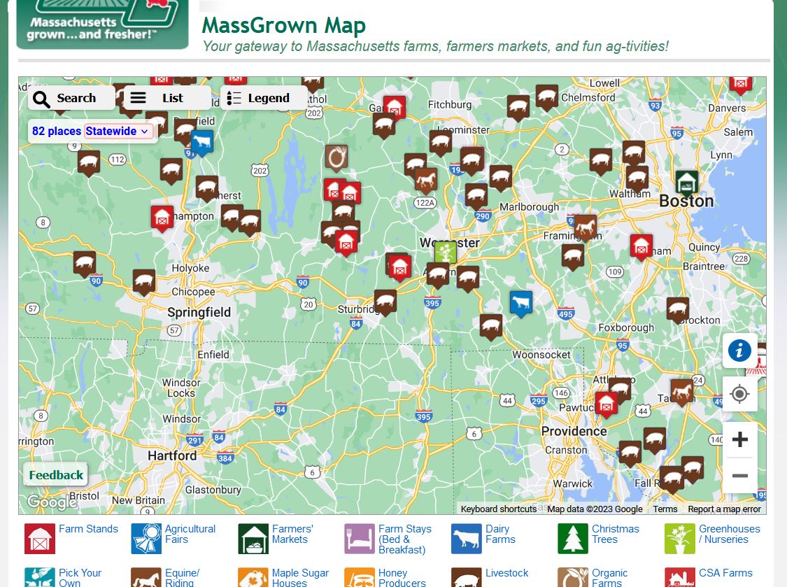 CounterActCC's tweet image. Here’s our November CounterAct Climate Change news, including 7 ways to reduce your carbon footprint during the holiday season! tinyurl.com/yvt4f2ny