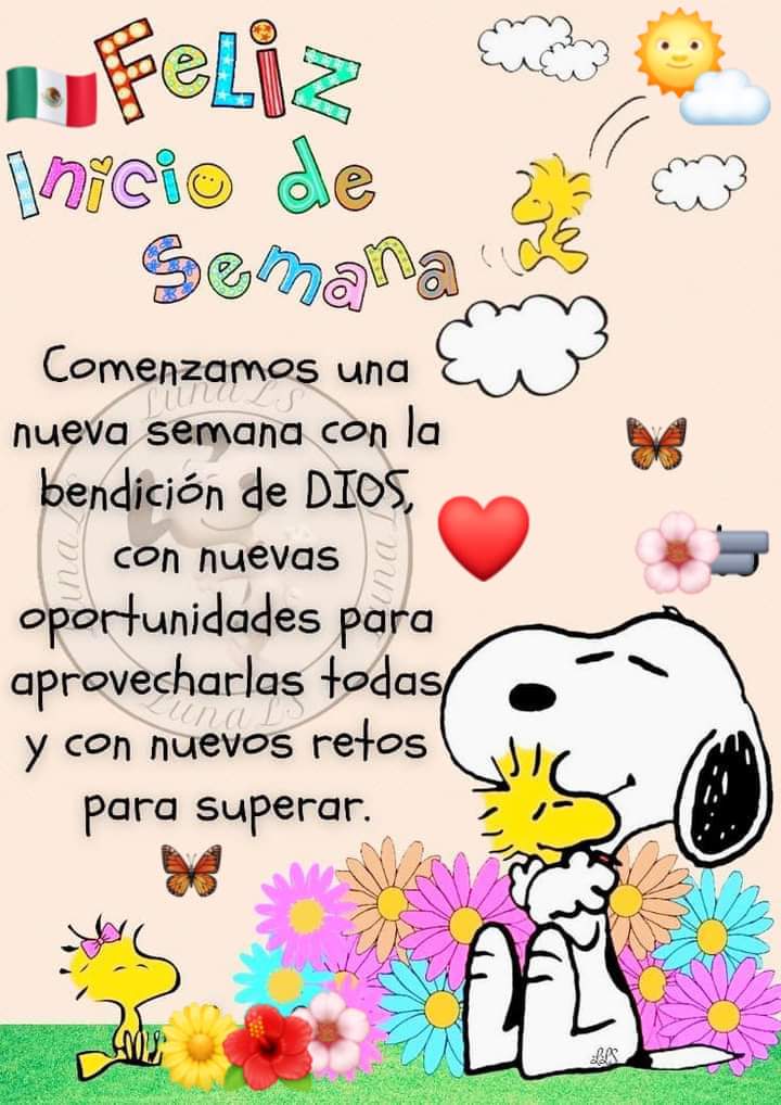 MonicaReding's tweet photo. Buenos días mundo 🌅🍀🦋 https://t.co/dYScvxuTjA