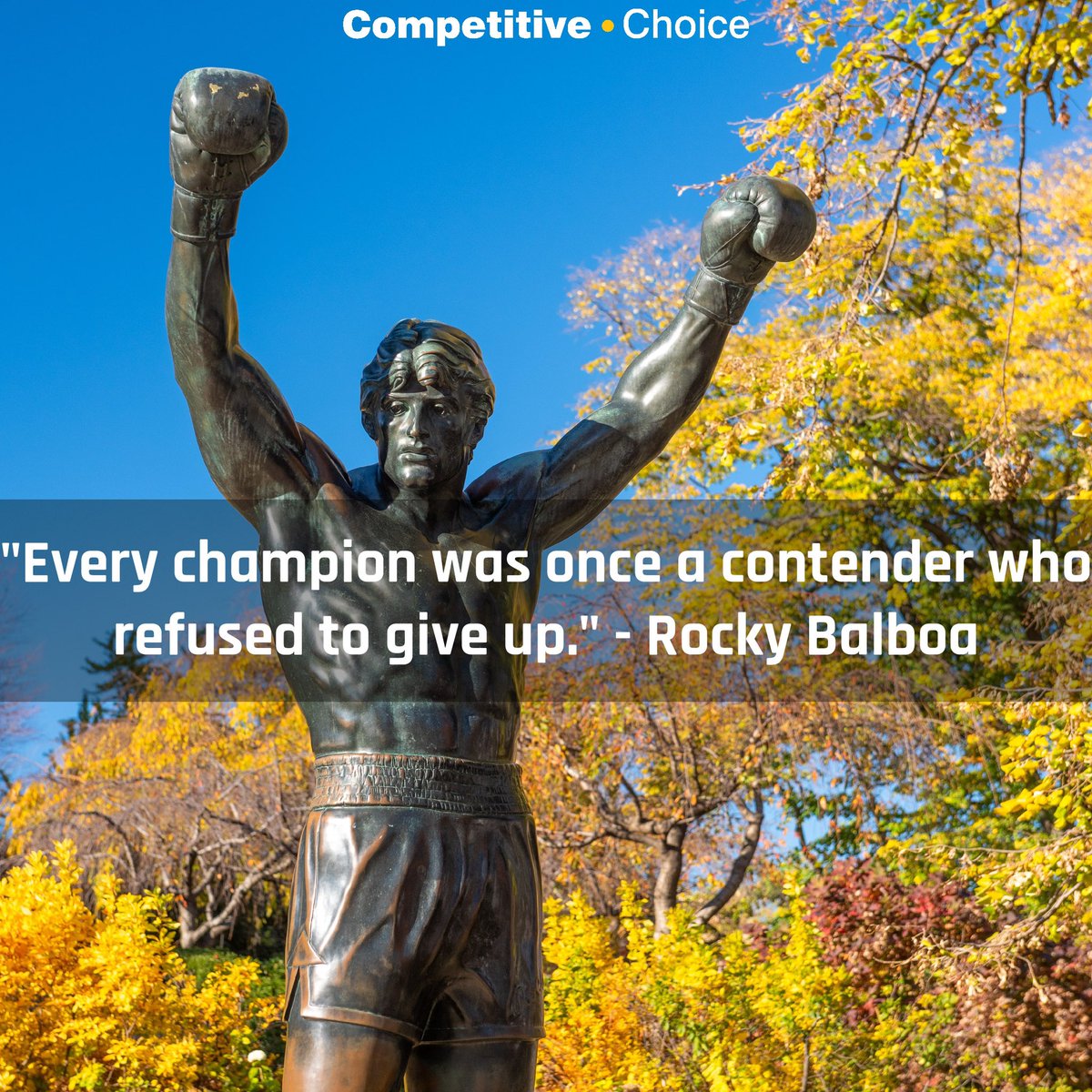 Competitive Choice tweet media