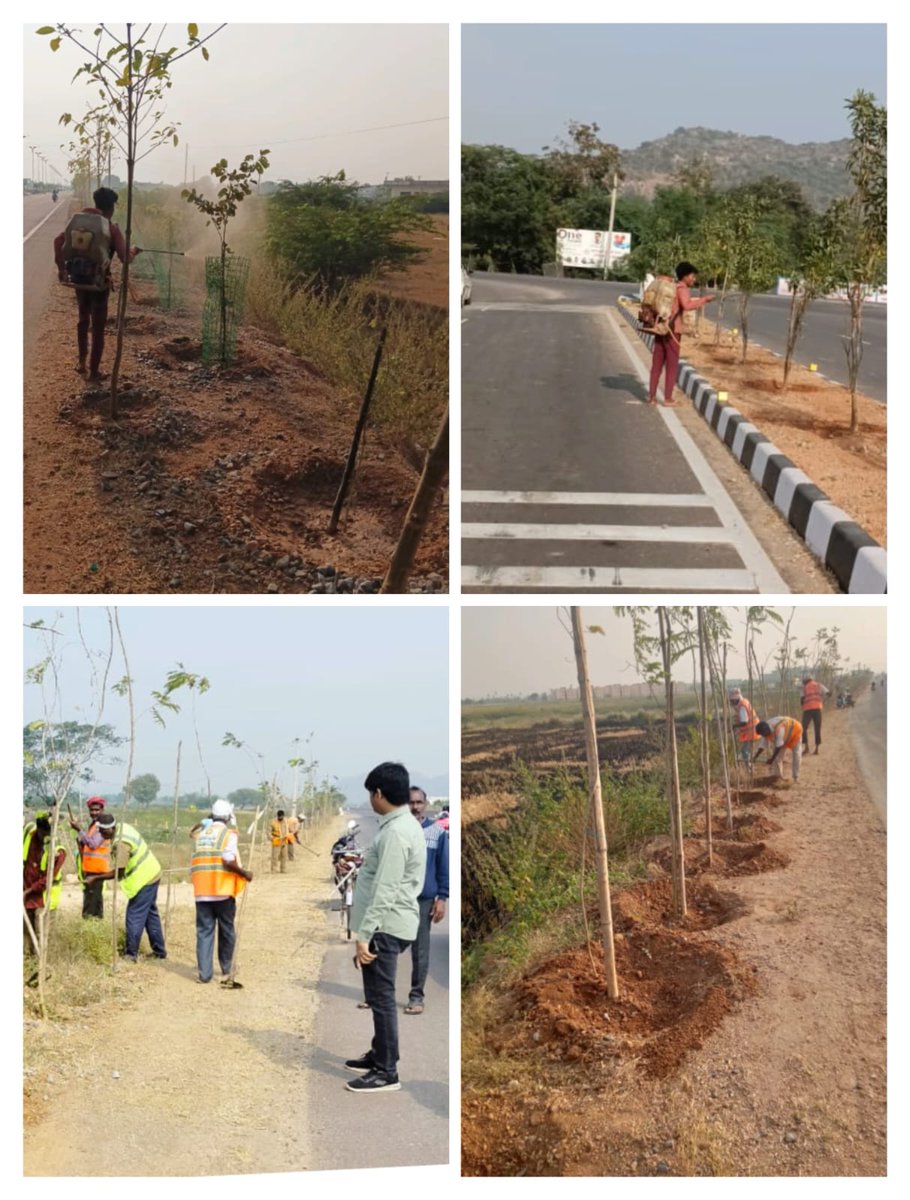 MC Sircilla tweet media