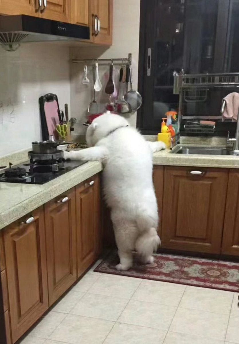 แม่ไม่อยุ่ได้เวลาของความอร่อย