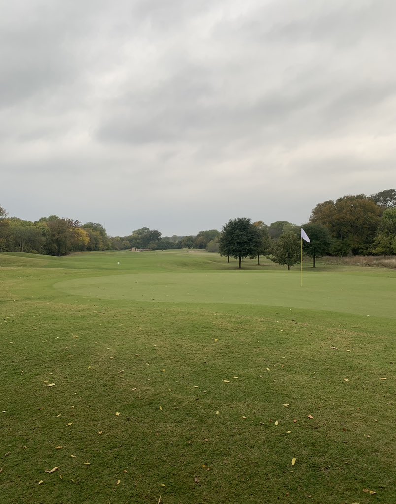 RussLaraGolf tweet media