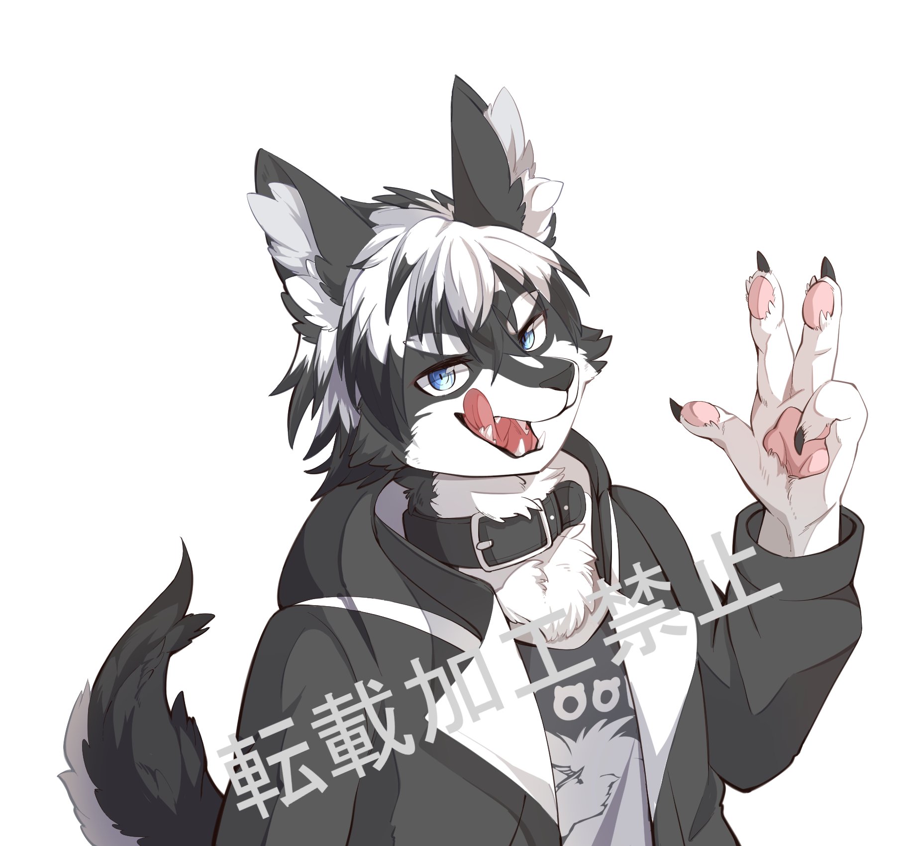 🐾愚鈍怪 ふうる🍖山形県産シベハスプラモV🐶 (@FOOL7632) / X