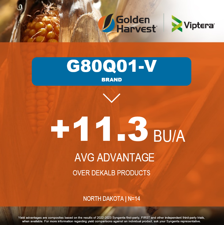 Golden Harvest Seeds tweet media