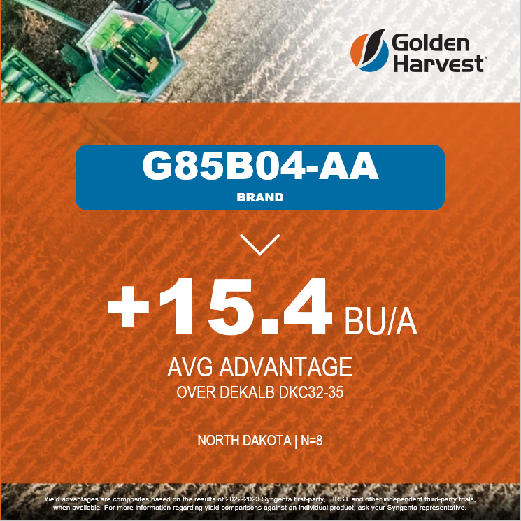 Golden Harvest Seeds tweet media