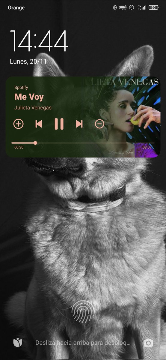 Dani_Snow10's tweet photo. Seguro que entrenas con Phonk, rap, o metal. Con la car de culo que llevas siempre.
Yo en corto: https://t.co/91eBUloOwH