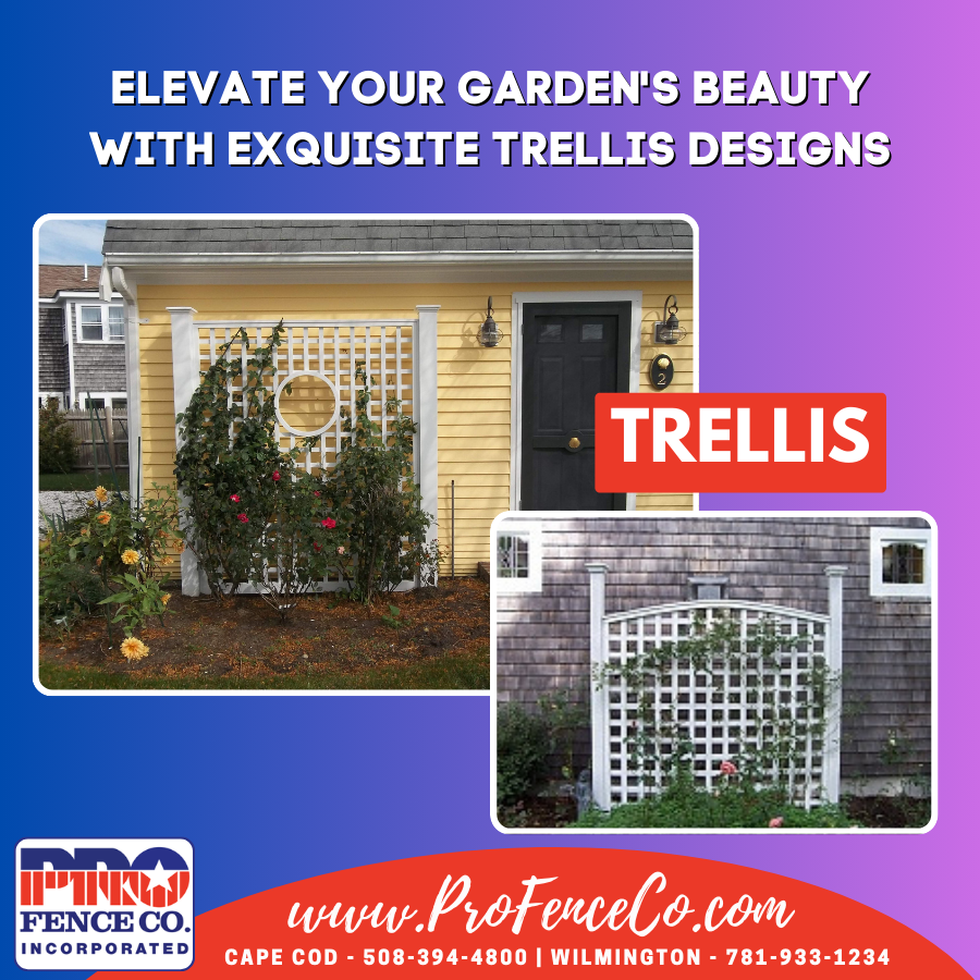 ProFenceCO1's tweet photo. Our trellises are not only beautiful, but also functional in providing support for climbing plants and creating privacy in your outdoor space.

#TrellisDesigns #GardenBeauty #ClimbingPlants #CustomOptions 

https://t.co/cMmfs8K3hq https://t.co/FdplHP628N
