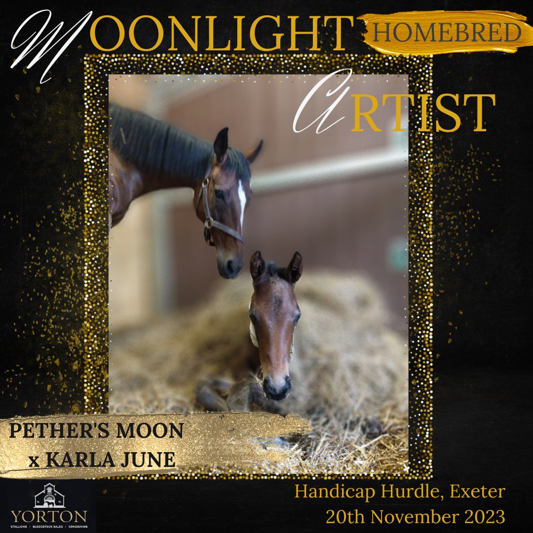 YortonFarm's tweet image. ＭＯＯＮＬＩＧＨＴ ＡＲＴＩＳＴ

The 5yo by Pether's Moon wins for @TizzardRacing under Freddie Gingell for syndicate The Cheltenham &amp;amp; South West Racing Club @ExeterRaces

Congratulations to all connections!🥳

#YortonSaleGraduate @GoffsUK 
#HomeBred
#PethersMoon