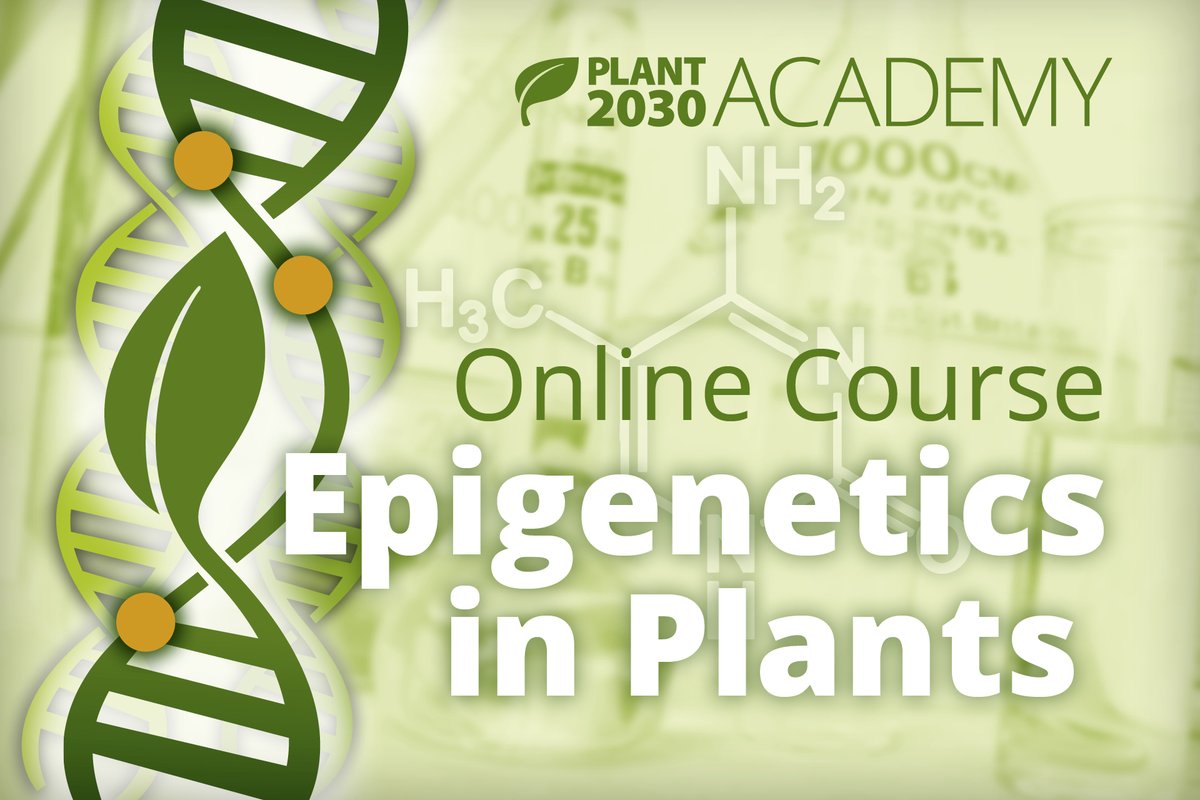 Pflanzenforschung.de (@pflanzenwissen) on Twitter photo "Epigenetics in Plants": The new online course of PLANT 2030 ACADEMY starts on 27th of November (courses in English). Funded by the <a href="/BMBF_Bund/">Bildungsmisererepublik Deutschland - BRDigung</a> and free of charge. Get deeper insights and learn about the state of research. Register & find details here: plant2030-academy.de/activities/202… "Epigenetics in Plants": The new online course of PLANT 2030 ACADEMY starts on 27th of November (courses in English). Funded by the <a href="/BMBF_Bund/">Bildungsmisererepublik Deutschland - BRDigung</a> and free of charge. Get deeper insights and learn about the state of research. Register & find details here: plant2030-academy.de/activities/202…