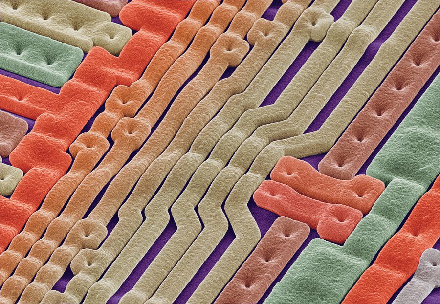 microscopicture's tweet image. micro-circuitry on a silicon chip at 1,200x magnification