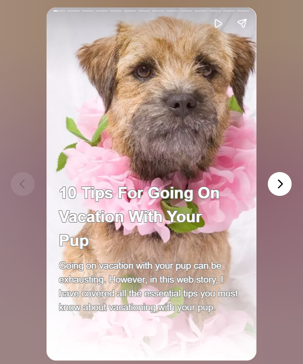 Going on vacation with your dog can be a fun and rewarding experience, but it requires careful planning to ensure both you and your furry friend have a safe and enjoyable trip. Here are 10 detailed tips for a successful vacation with your pup.

webstories.today/watch/10-tips-…