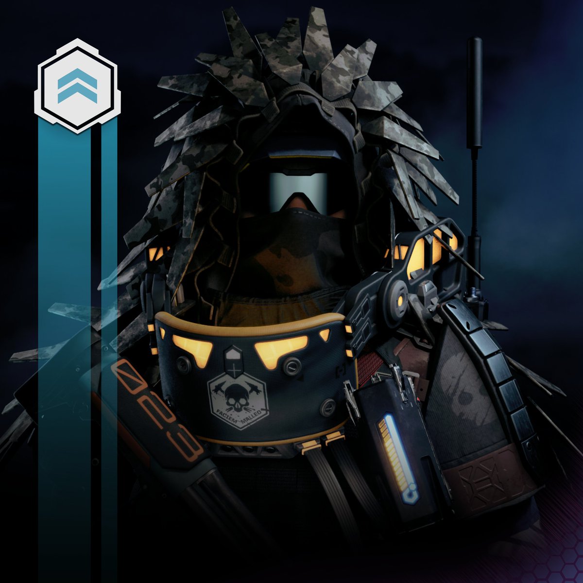 BoDoggos tweet media