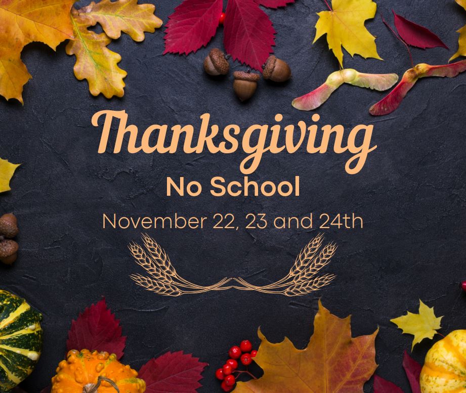 No School this Wednesday, Thursday, and Friday.  Have a fun, relaxing, and safe holiday!